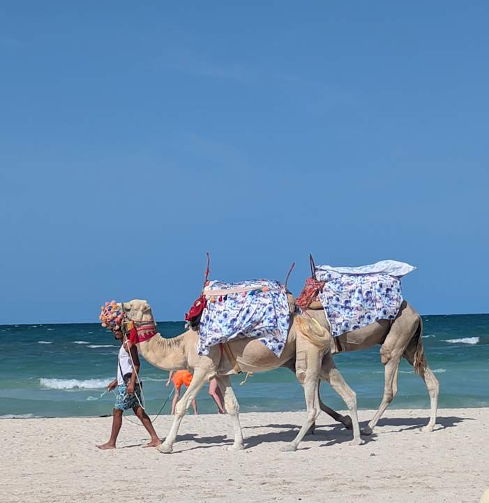 Strand Calimera Yati Beach