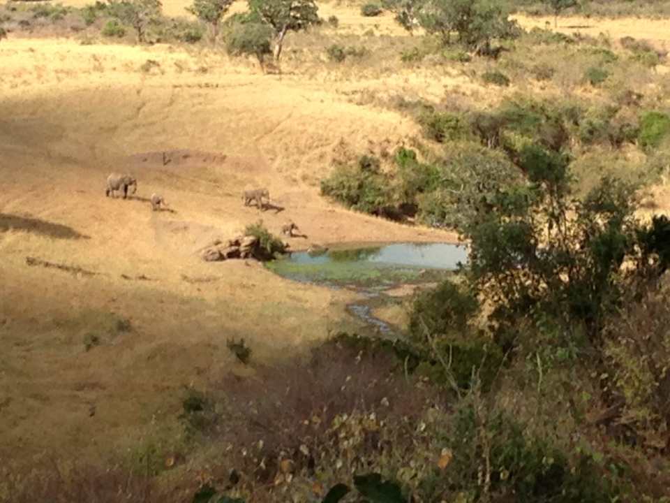 Camp 3. Nacht Blick von Terrasse Rhino Valley Lodge