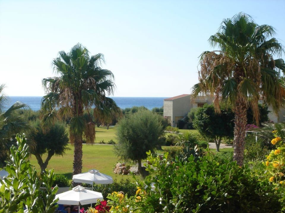 Blick auf Gartenanlage Grecotel LUXME Dama Dama
