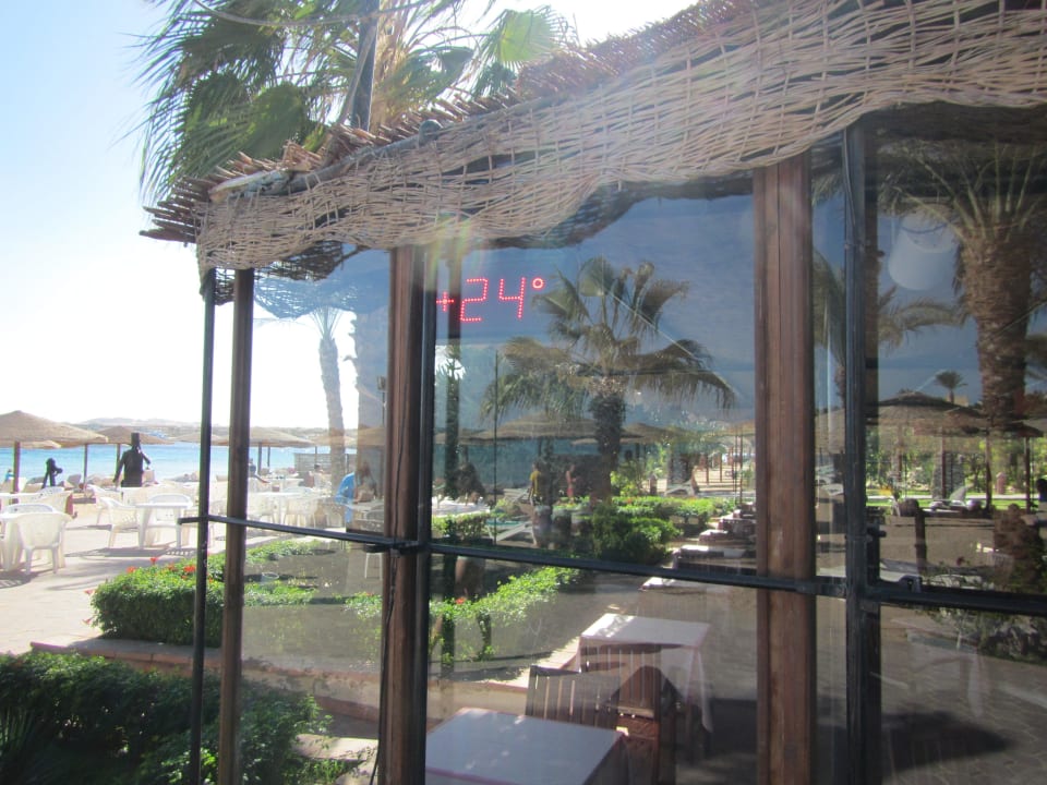 Погода в начале января Jaz Makadi Oasis Resort