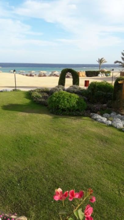 Blick aus dem Zimmer Hotel Gorgonia Beach Resort