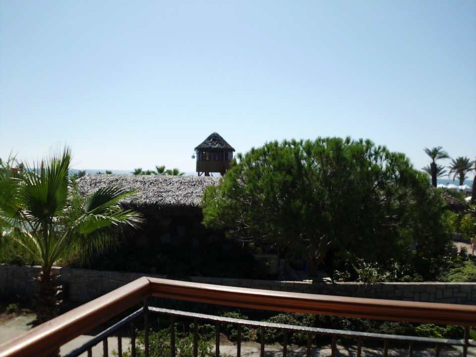 Aussicht von Zimmer 2508 Papillon Belvil