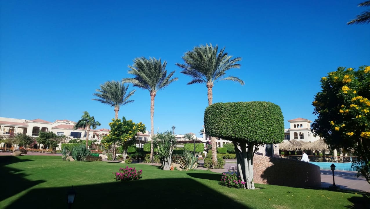 Gartenanlage JAZ Mirabel Beach