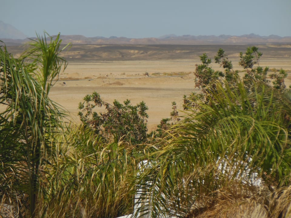 Wüste Three Corners Sea Beach Resort