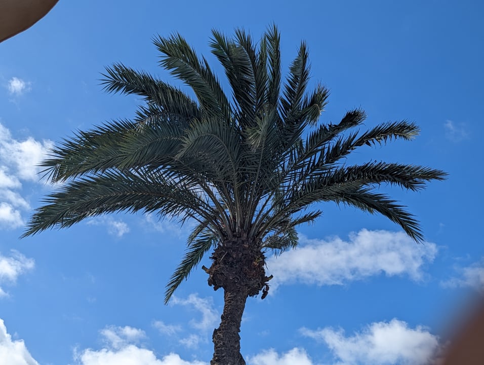 Außenansicht H10 Ocean Suites