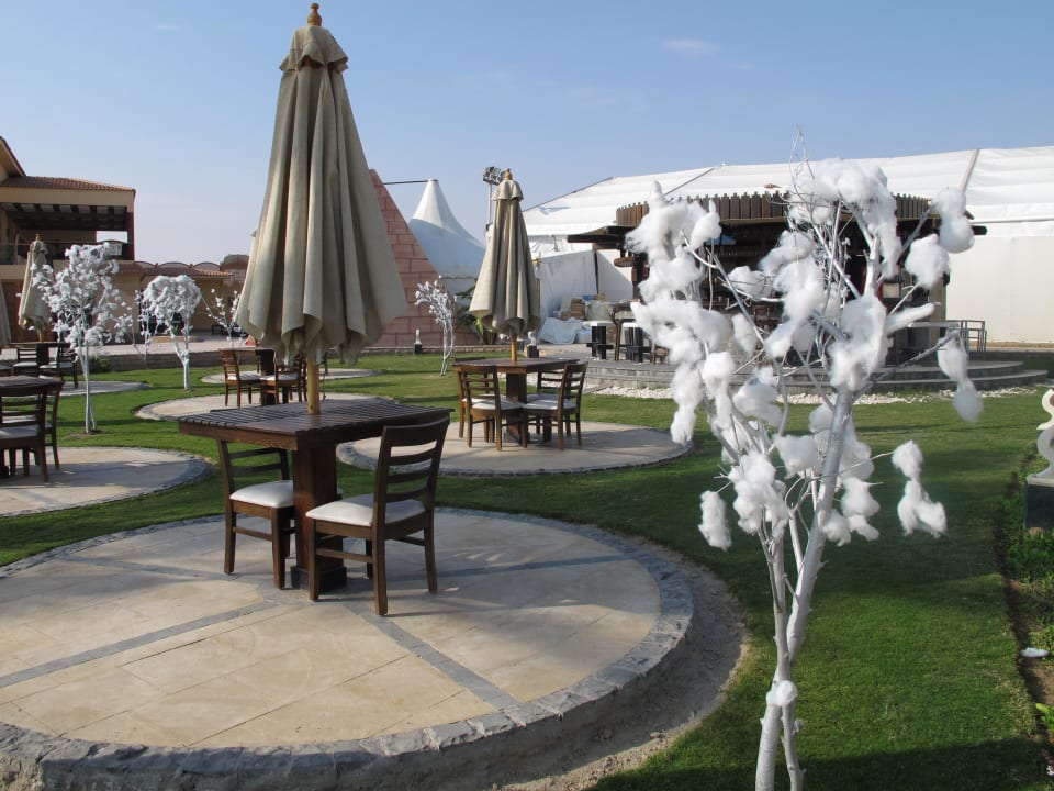 Weihnachts- und Silvesterdeko Pickalbatros Dana Beach Resort - Hurghada