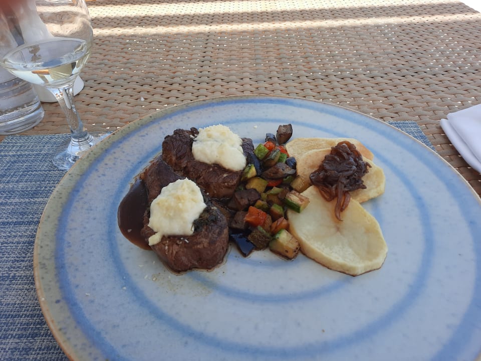 Gastro JAZ Elite Amara