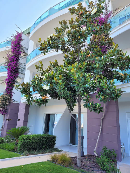 Gartenanlage Corendon Playa Kemer