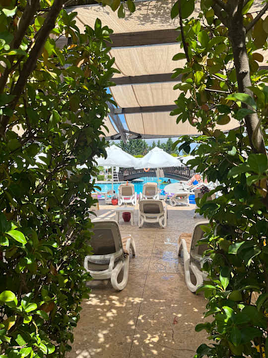 Pool Adalya Elite Lara