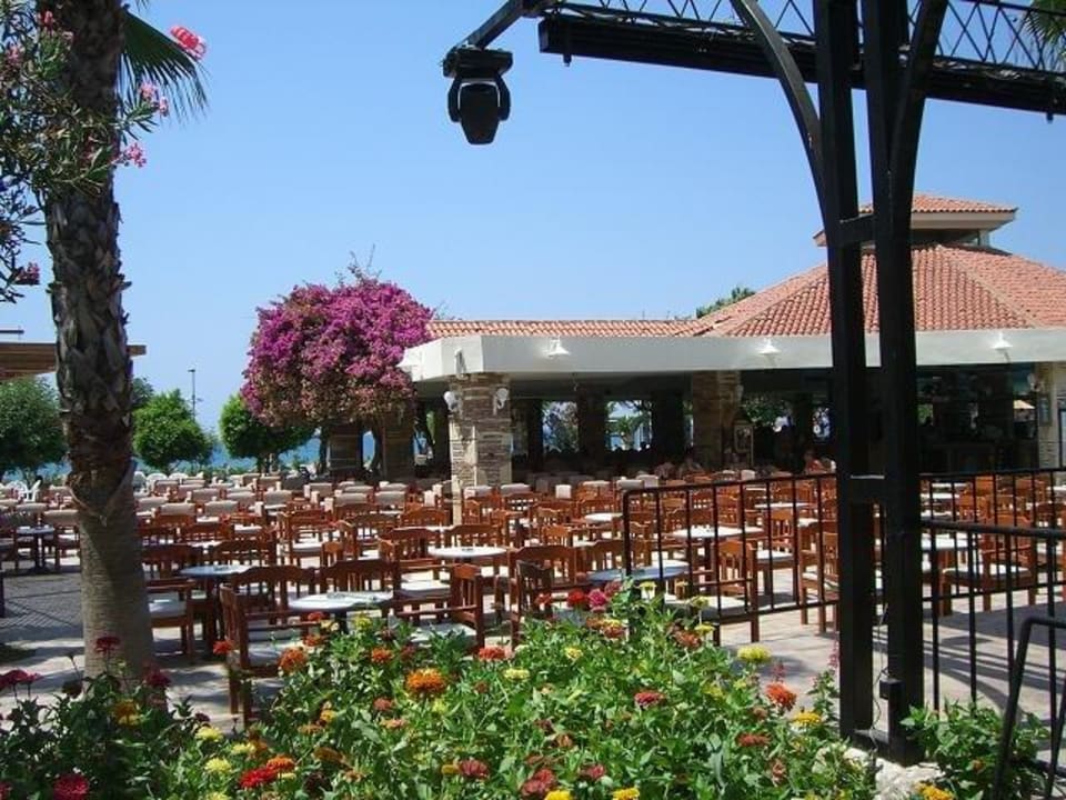 Poolbar Hotel Defne Star