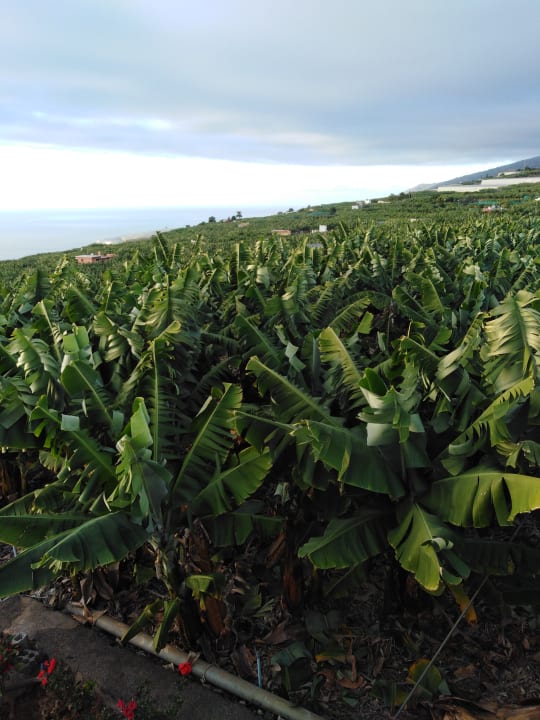 Ausblick Finca Casa Silvina