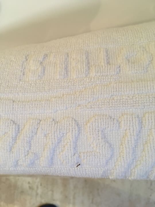 Zimmer R2 Lago Playa Park