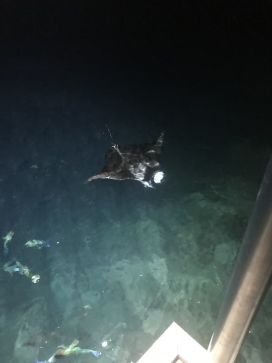 Sport & Freizeit Sun Siyam Olhuveli