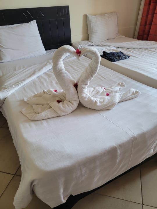 Zimmer Three Corners Sea Beach Resort