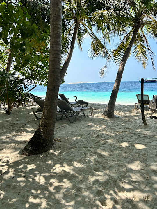 Strand Adaaran Club Rannalhi - All Inclusive