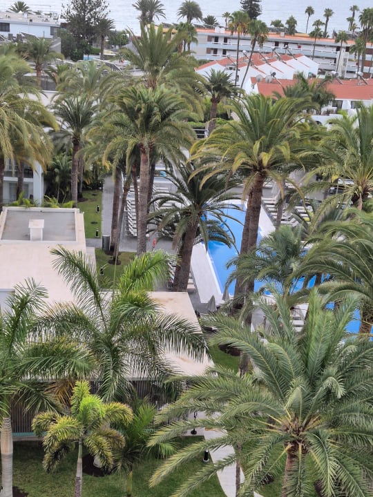 Gartenanlage Hotel Riu Palace Palmeras