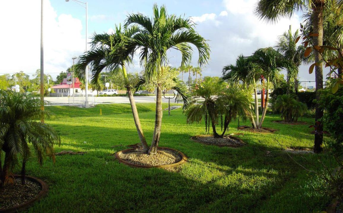 Umgebung Americas Best Value Inn Fort Myers