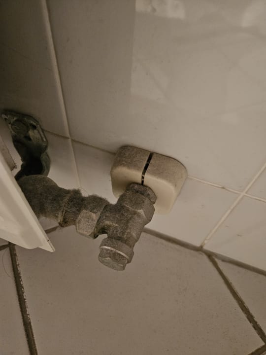 Zimmer Congress Hotel Weimar by Mercure