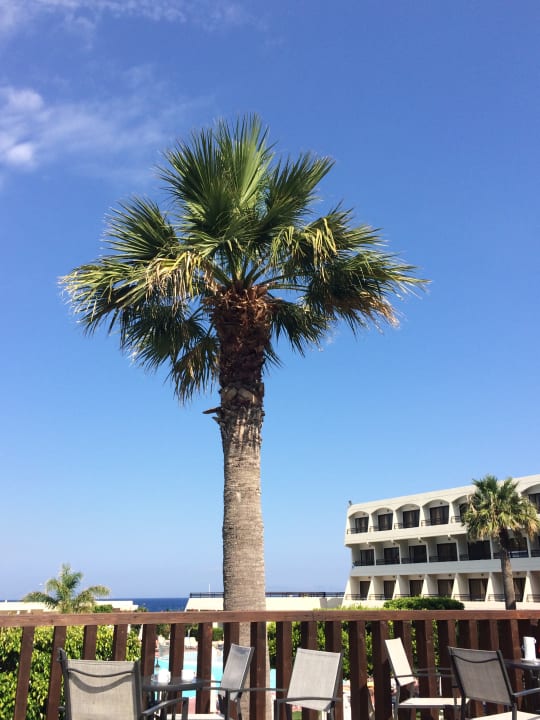 Ausblick Sol Cosmopolitan Rhodes