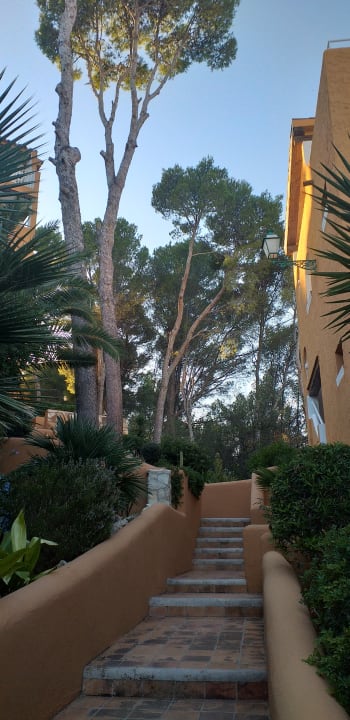 Gartenanlage Hotel Aldea Cala Fornells 2