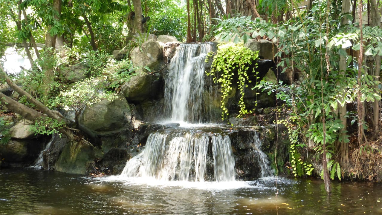 Hoteleigener Wasserfall Movenpick BDMS Wellness Resort Bangkok