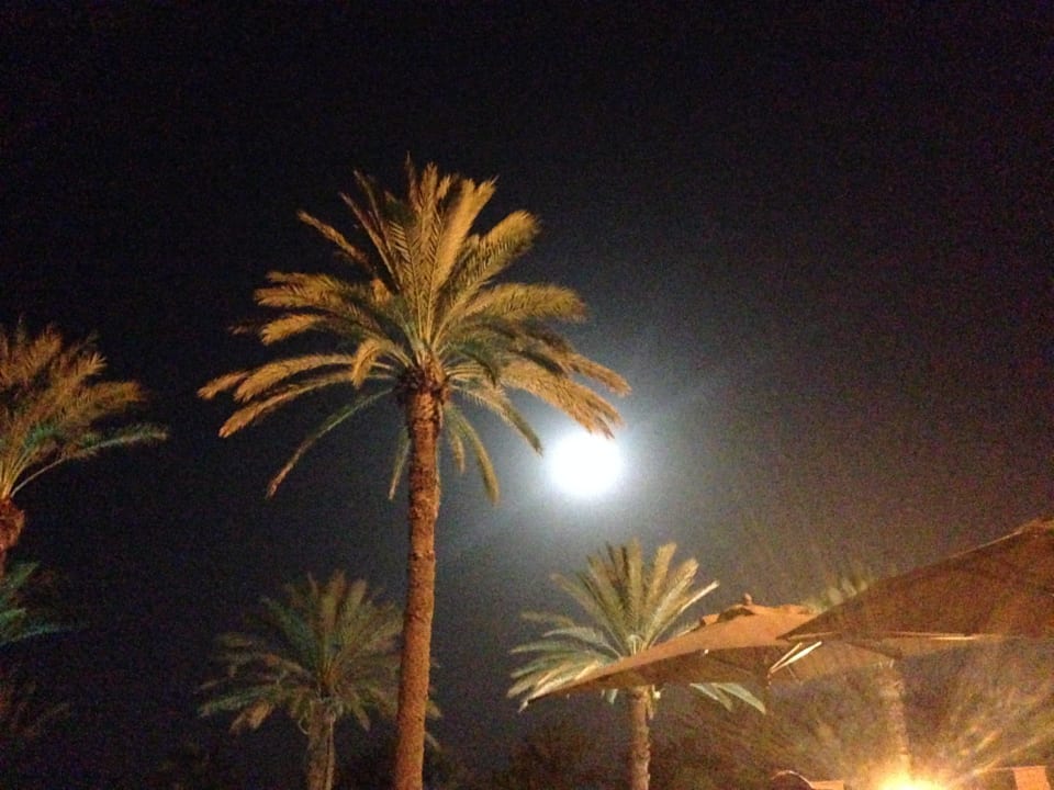 Der Mond und die Palmen von der Terrasse aus El Ksar Resort & Thalasso