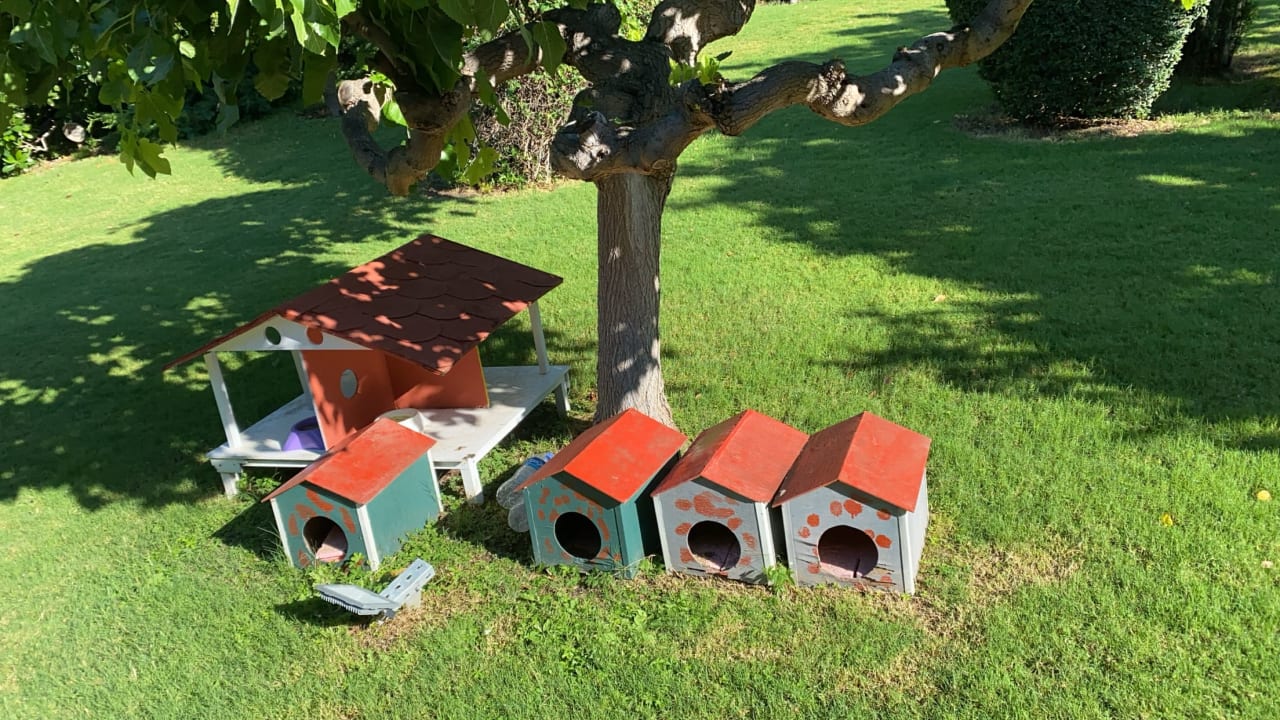 Sonstiges Side Star Elegance