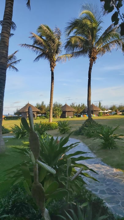 Gartenanlage Hotel Muine Bay Resort