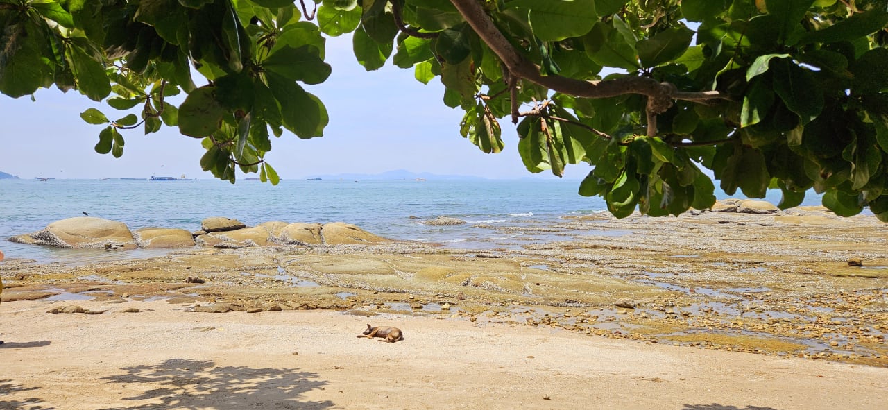 Strand Woodlands Hotel & Resort