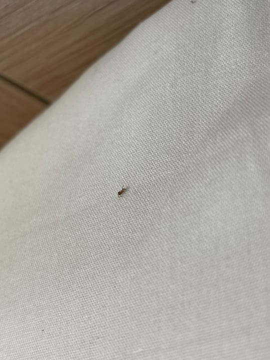 Zimmer AluaSoul Zakynthos - Adults only