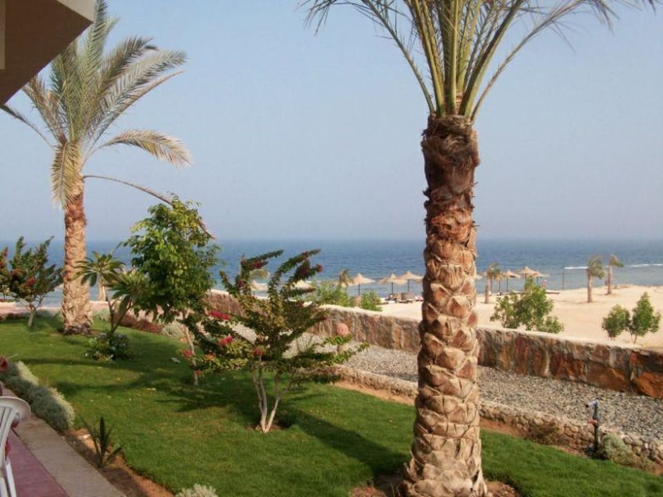 Blick von unserer Terrasse aus Three Corners Sea Beach Resort