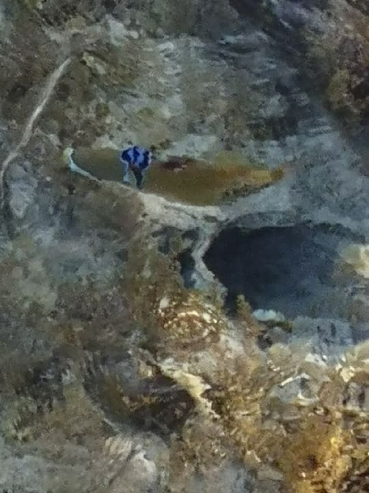 Strand Casa Mare Resort