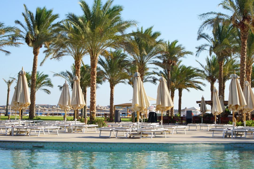 Viele Liegen und Schirme Stella Beach Resort & Spa Makadi Bay