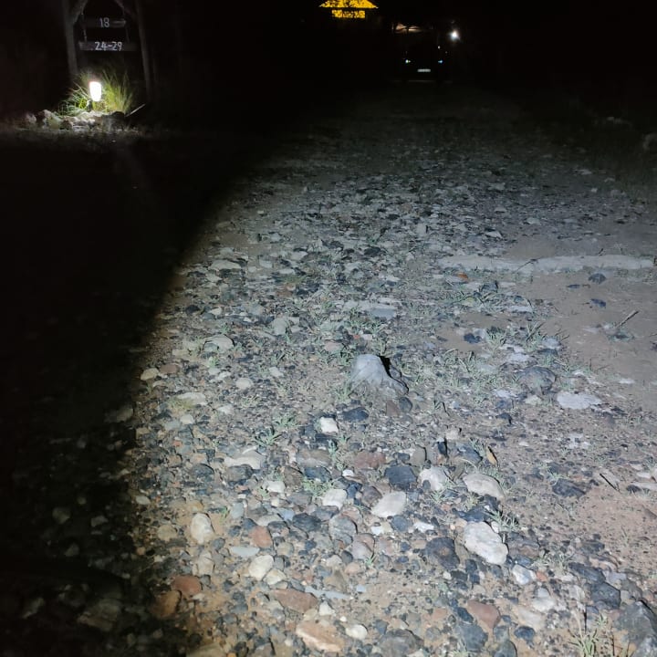 Gartenanlage Etosha Village