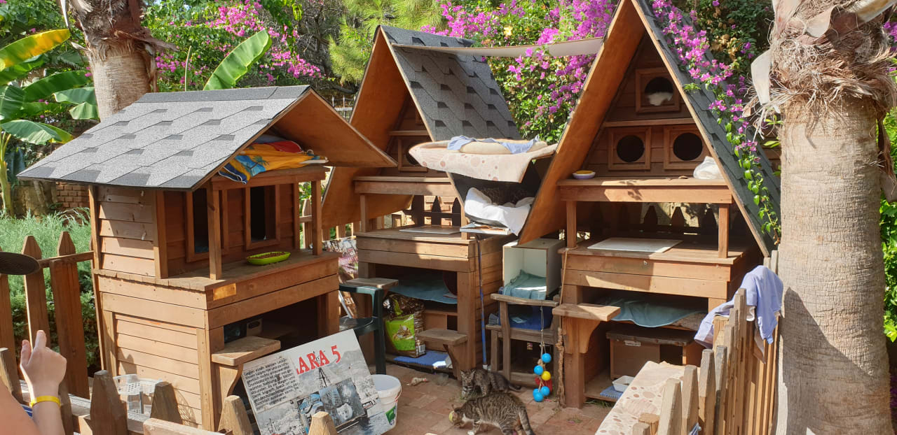 Gartenanlage Gardenia Hotel