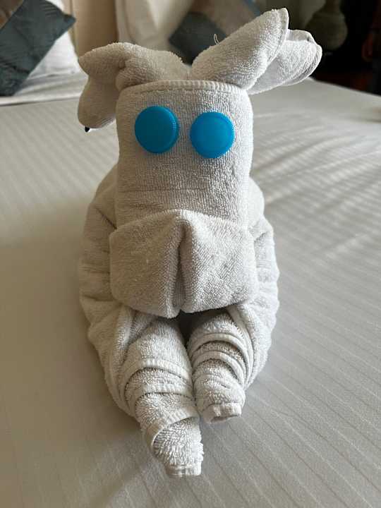 Zimmer Pickalbatros Palace Hotel-Port Ghalib