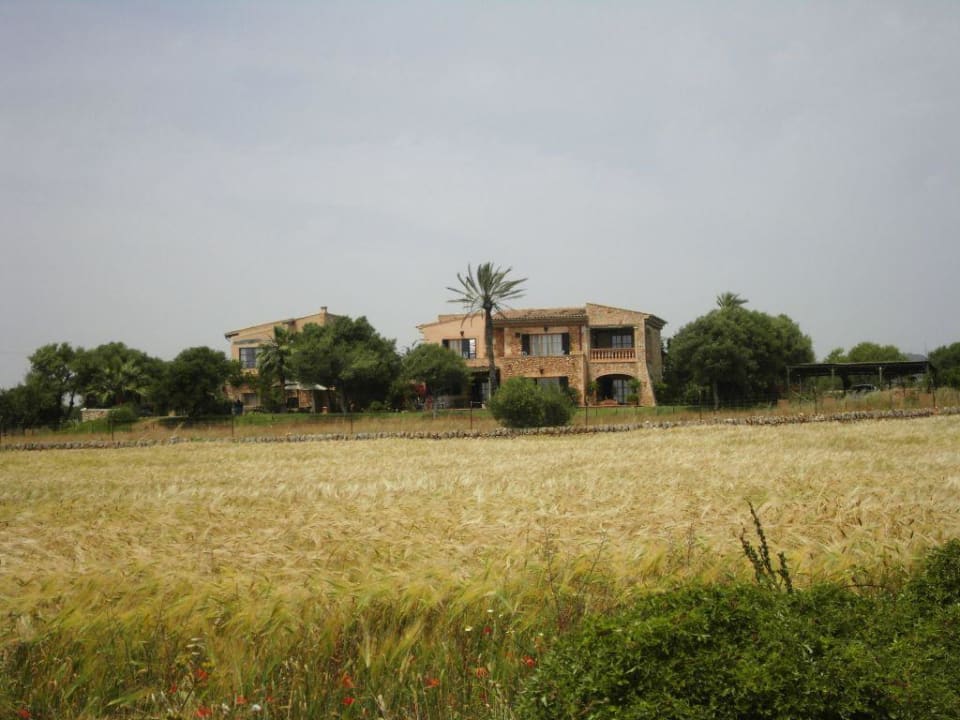 Finca S'Antigor in Mitte von Feldern Finca S'Antigor