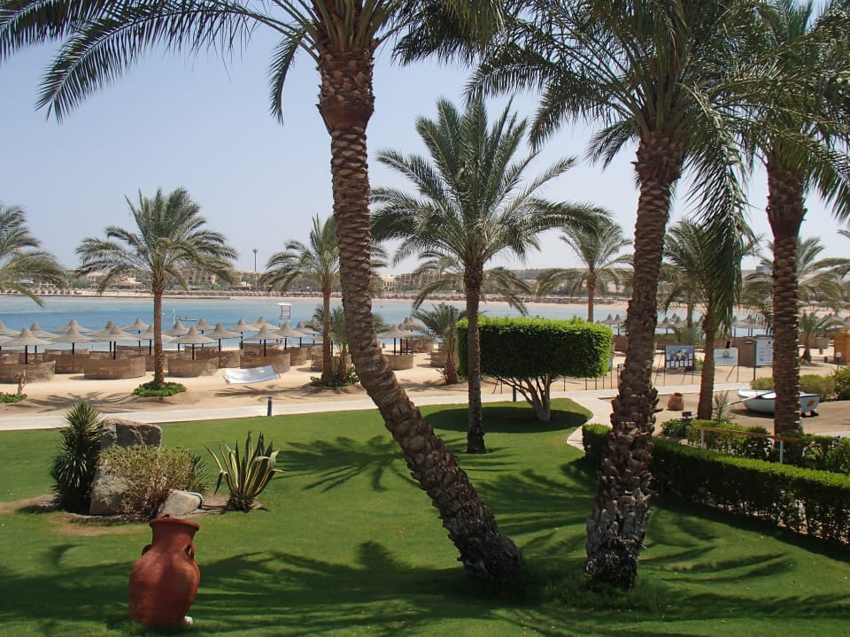 Ausblick Garten, Strand, Bucht Steigenberger Coraya Beach - Adults only