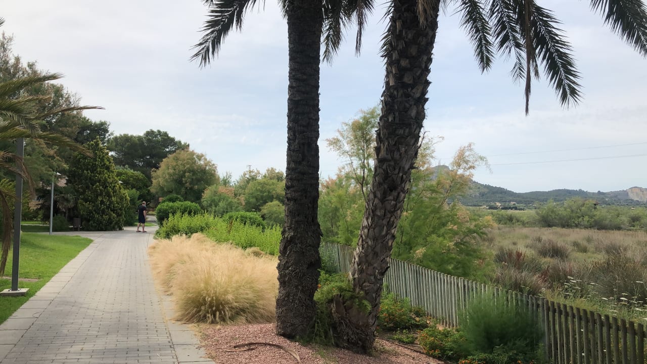 Gartenanlage PortBlue Club Pollentia Resort & Spa