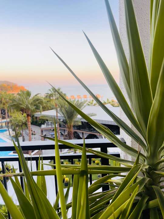 Ausblick Seven Seas Palmeras Bay Alanya