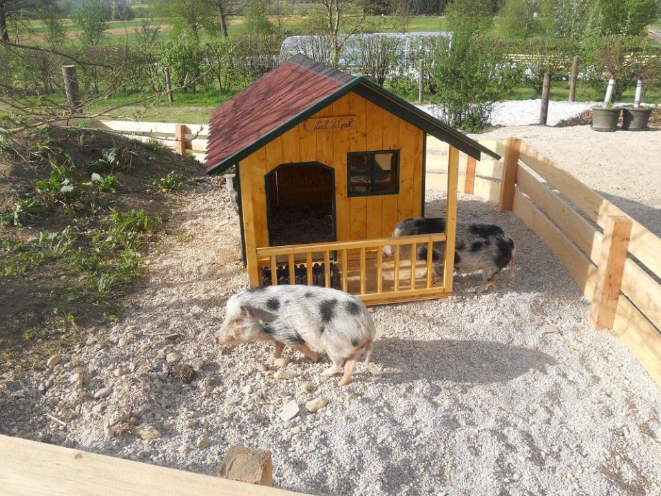 Lisl und Gretl Ferienhotel Innviertel