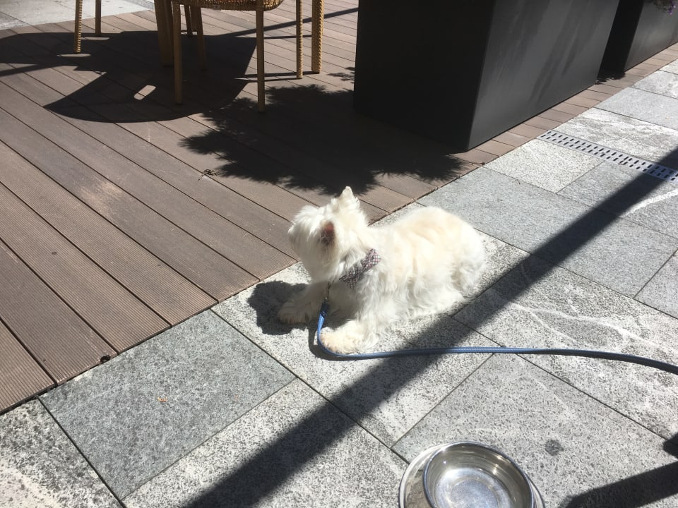 Sonstiges Ermitage Wellness- & Spa-Hotel