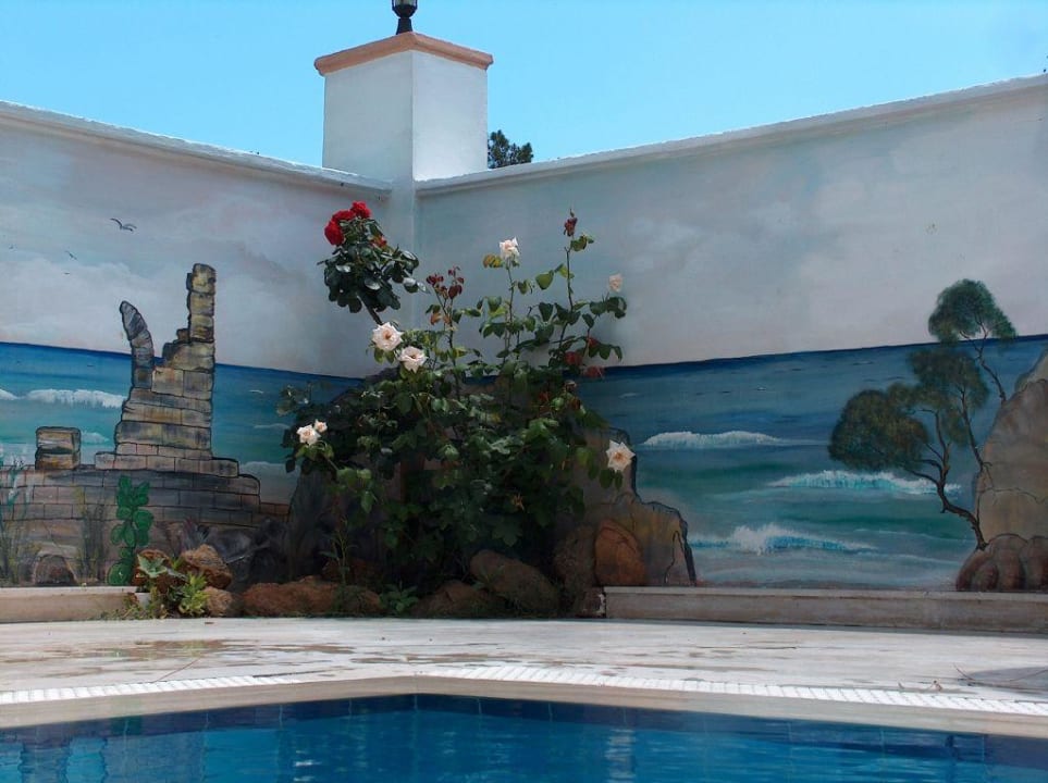 Blick aus dem Pool Hotel Forest Park