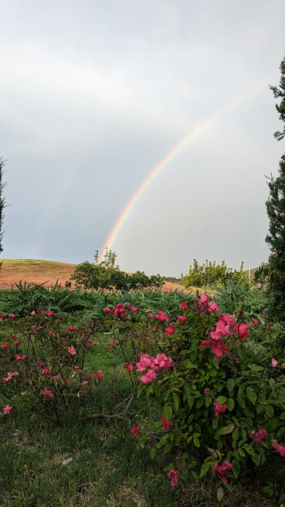 Ausblick Relais Sant' Elena