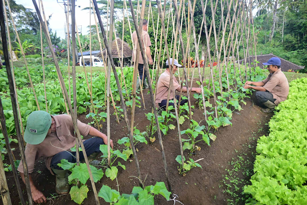 Gartenanlage Bagus Jati Health & Wellbeing Retreat