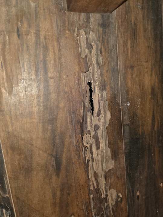 Zimmer Jungle Beach Camp Ahungalla