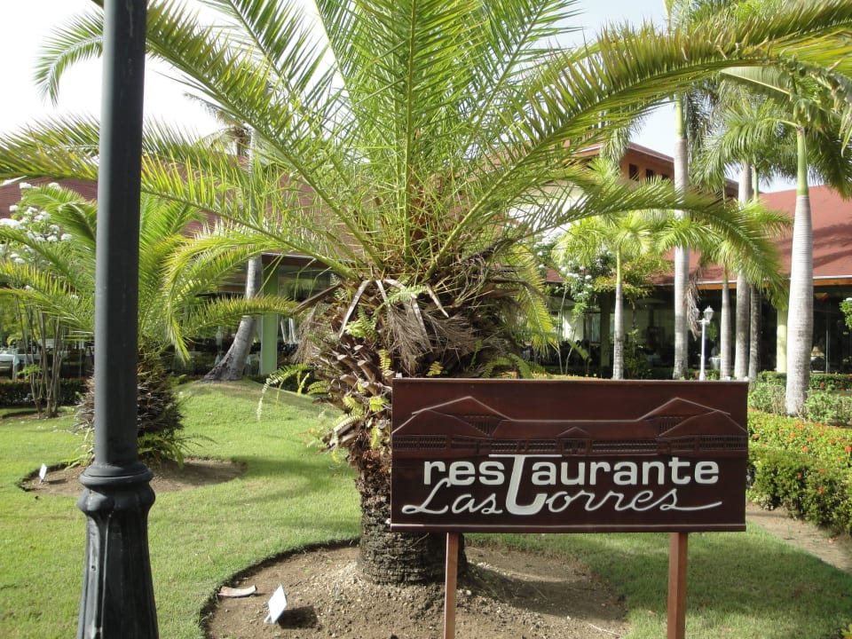 Unser Lieblings-Restaurant TRS Turquesa Hotel - Adults only
