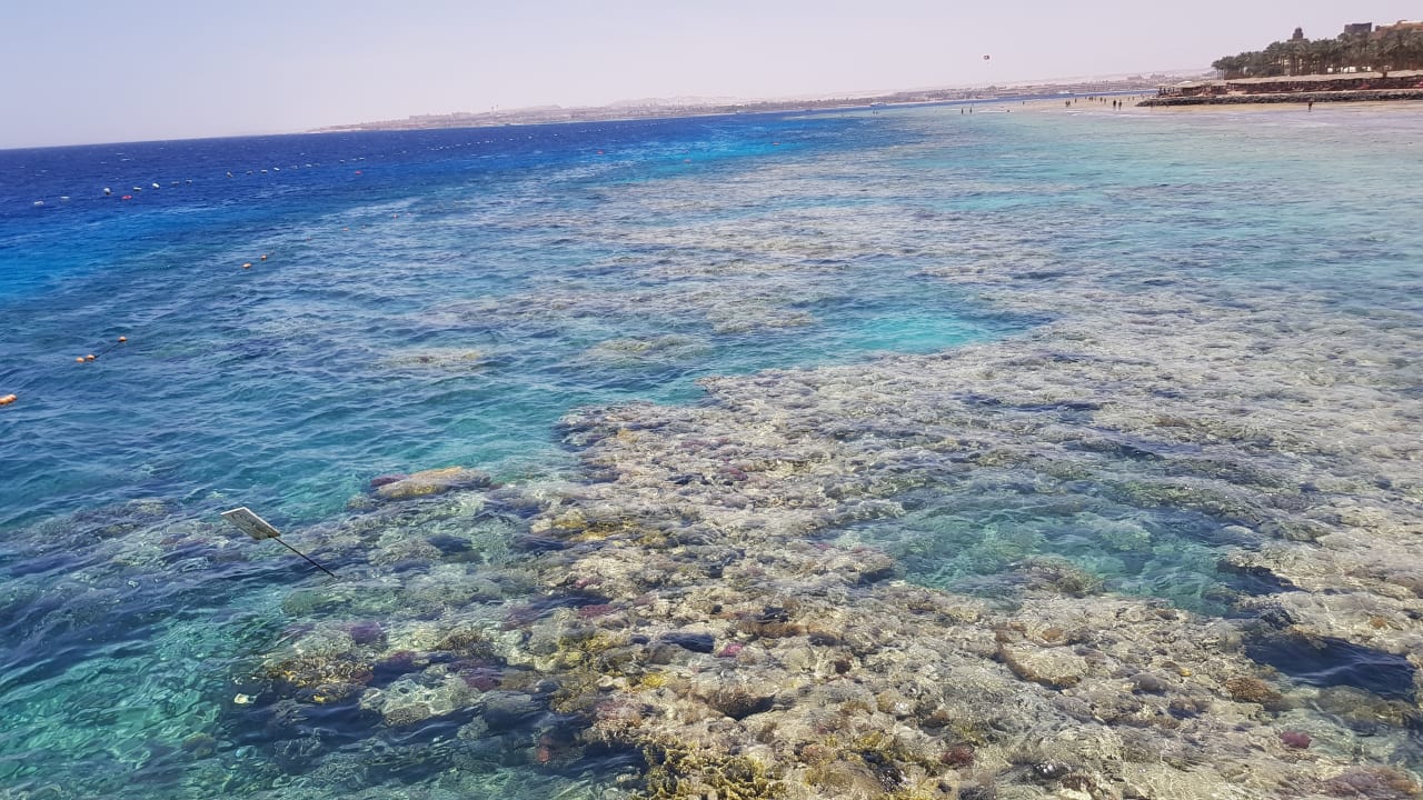 Vom Steg aus aufs Riffdach Makadi Spa - Adults only