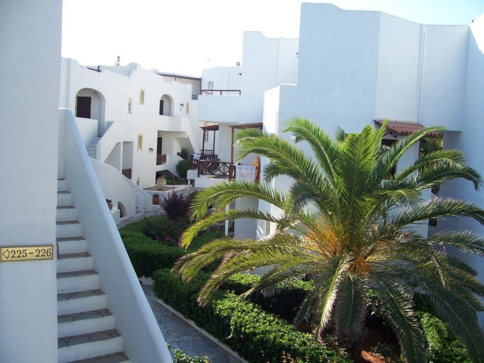 Treppenaufgang zu unserem Zimmer 226! Alexander Beach Hotel & Village Resort