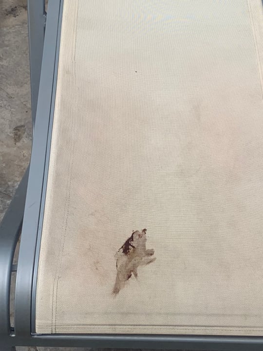 Pool Zafiro Palmanova